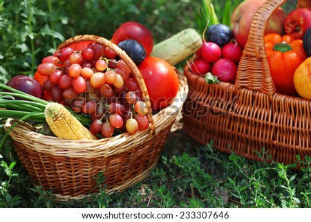 Fresh organic fruits and vegetables in wicker baskets outdoors