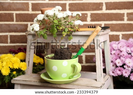 Flowers in pot on stepladder, potting soil, watering can and plants on bricks background. Planting flowers concept