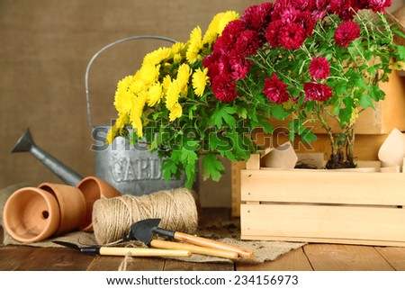 Rustic table with flowers, pots, watering can and plants on sackcloth background. Planting flowers concept