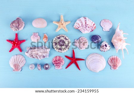 Sea souvenirs on light blue background