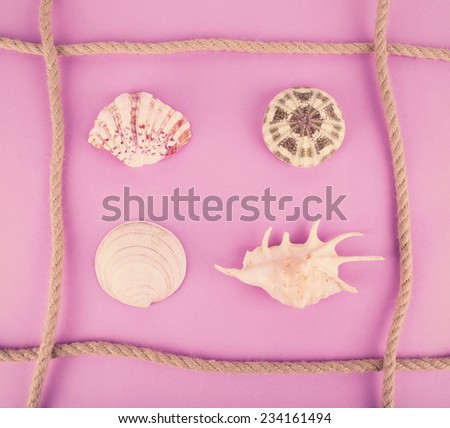 Sea souvenirs on pink background
