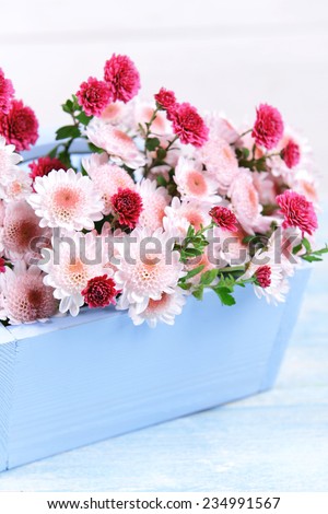 Beautiful flowers in box on table on light background