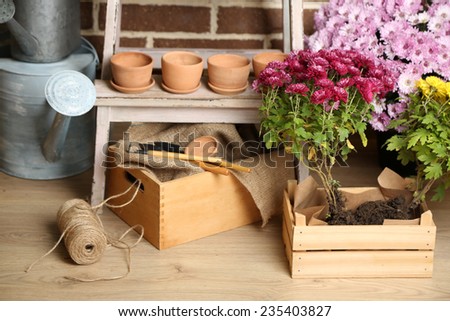 Flowers in pot on stepladder, potting soil, watering can and plants on bricks background. Planting flowers concept