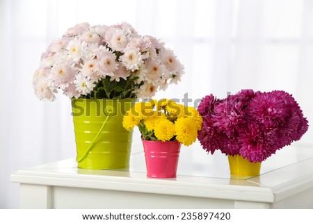 Beautiful bouquet of flowers in buckets on window background