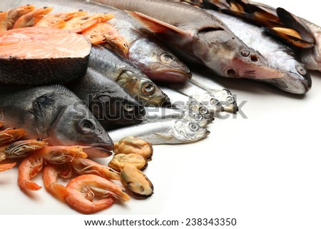 Fresh catch of fish and other seafood close-up