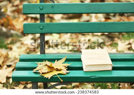 Closed book lying near autumn leaves on bench in park