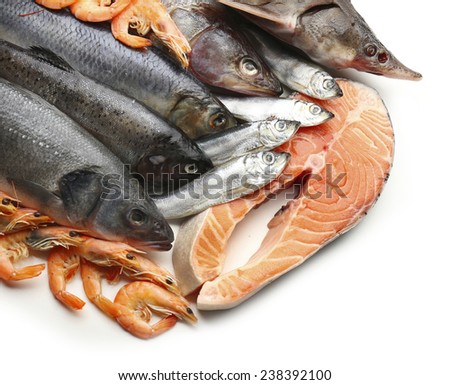 Fresh catch of fish and other seafood isolated on white