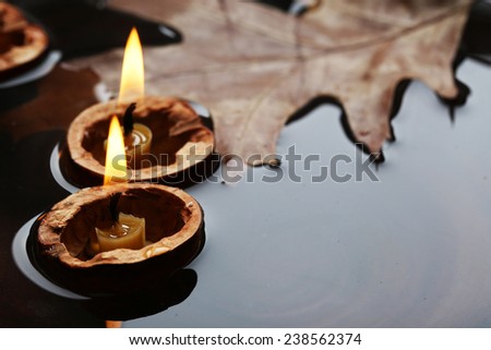 Leaf and nutshells with candles floating in water