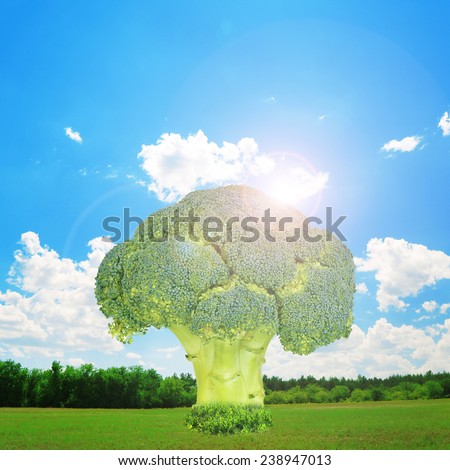 Tree of broccoli.Fantasy landscape