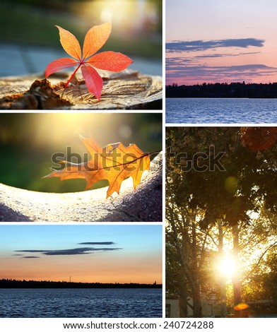 Nature collage