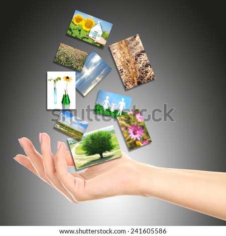 Images of nature objects in hand on grey background