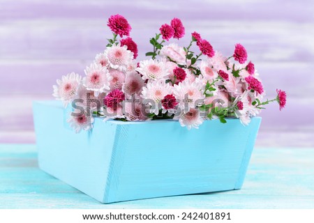 Beautiful flowers in box on table on purple background