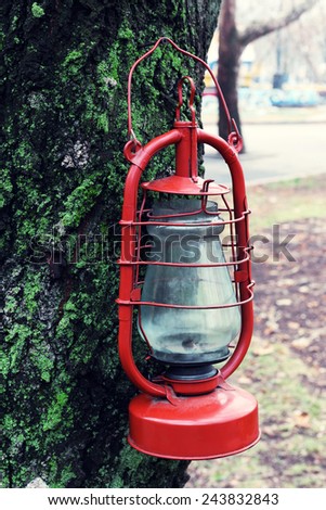 Kerosene lamp on tree, outdoors