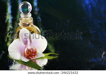 Orchid flower with water drops and bottle of perfumes on dark colorful background