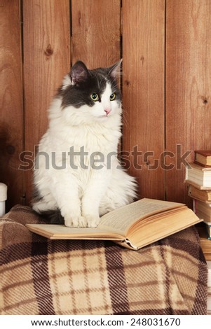 Cute cat sitting with book on plaid