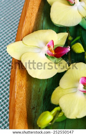 Beautiful orchid flowers in water close-up