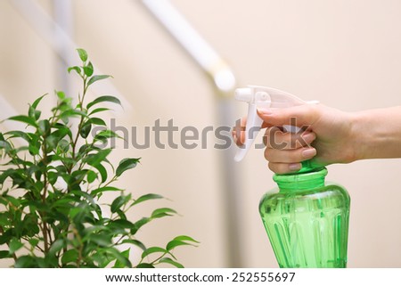 Male hand spraying flowers on light blurred background