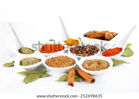 Different kinds of spices in ceramics bowls and spoons isolated on white