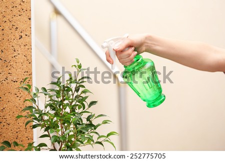 Male hand spraying flowers on light blurred background