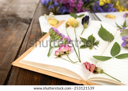 Composition with flowers and dry up plants on notebooks on table close up