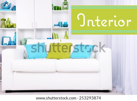 Modern interior design. White living room with sofa and bookcase. Interior concept