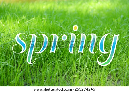 Beautiful spring grass background. Hello Spring concept