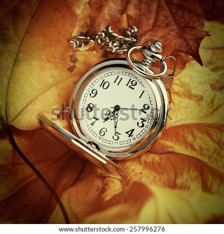 Silver pocket clock in autumn leaves