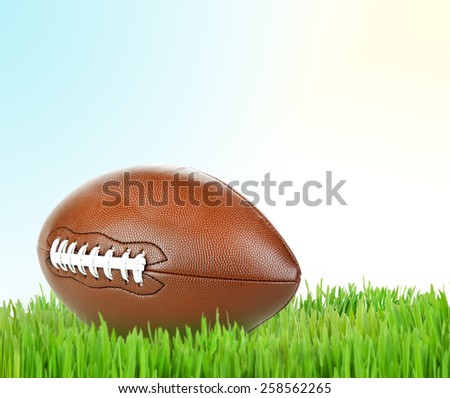 American football on green grass on light background