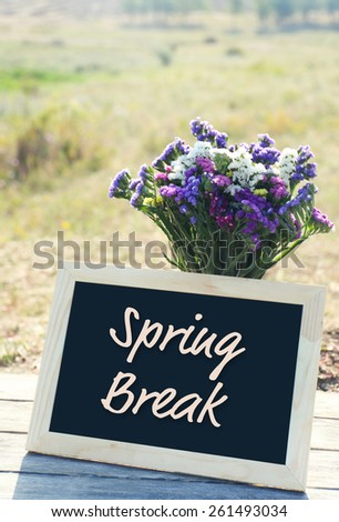 Spring break concept. Beautiful wild flowers in vase and frame on field background