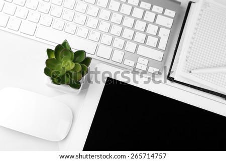 Office workplace with tablet and pot plant close up