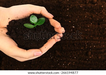 Female handful of soil with small green plant, closeup