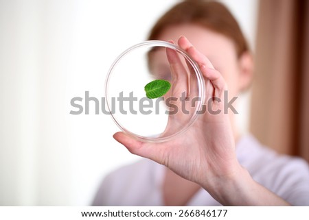 Woman examining green leaf in laboratory, close up