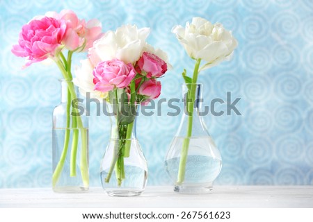 Beautiful spring flowers in glass vases on light blue background