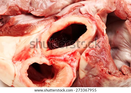 Raw animal heart close up