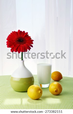 Color gerbera with glass of milk and lemons on table on curtains background