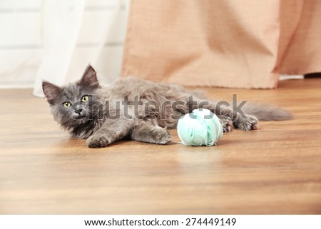 Cute gray kitten plays with threads for knitting on floor at home