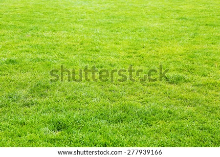 Football field stadium background