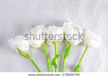 Fresh tulips on textured background