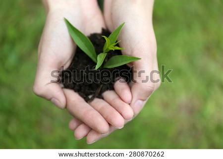 Green seedling growing from soil in hands outdoors