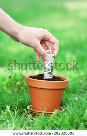 Female hand planting money into flowerpot over green grass background
