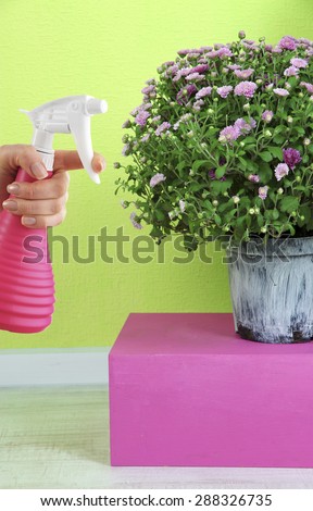 Female hand with sprayer and flowers on green wall background