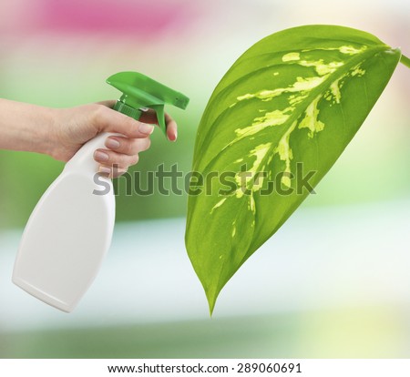 Female hand with sprayer and big green leaf on light natural background