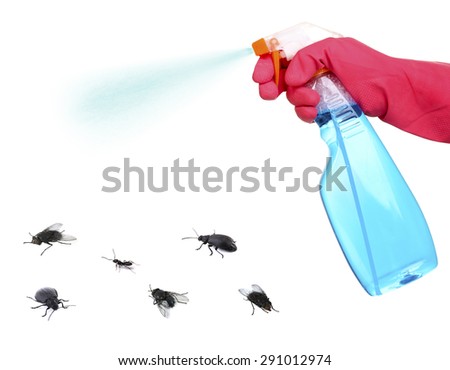 Plastic sprayer with insecticide and stinging insect isolated on white