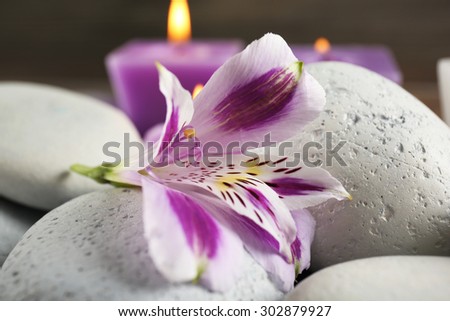 Spa still life with purple flowers and pebbles, closeup