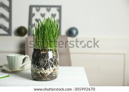 Transparent pot with fresh green grass on table