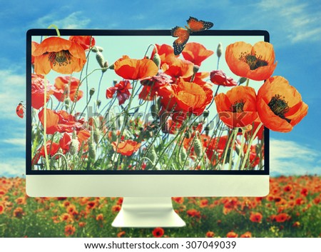 New modern computer with nature wallpaper on screens on poppies field against blue sky background