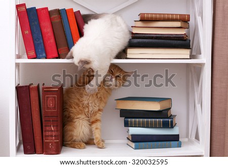 Cute little cats on shelf with books on light background