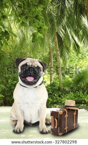 Funny dog tourist with suitcase and hat on nature background