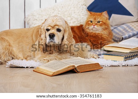 Cat and dog with books on sofa inside