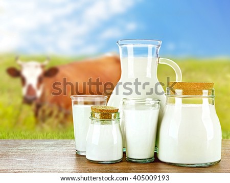 Pitcher, jars and glasses of milk on wooden table against cow and blue sky background